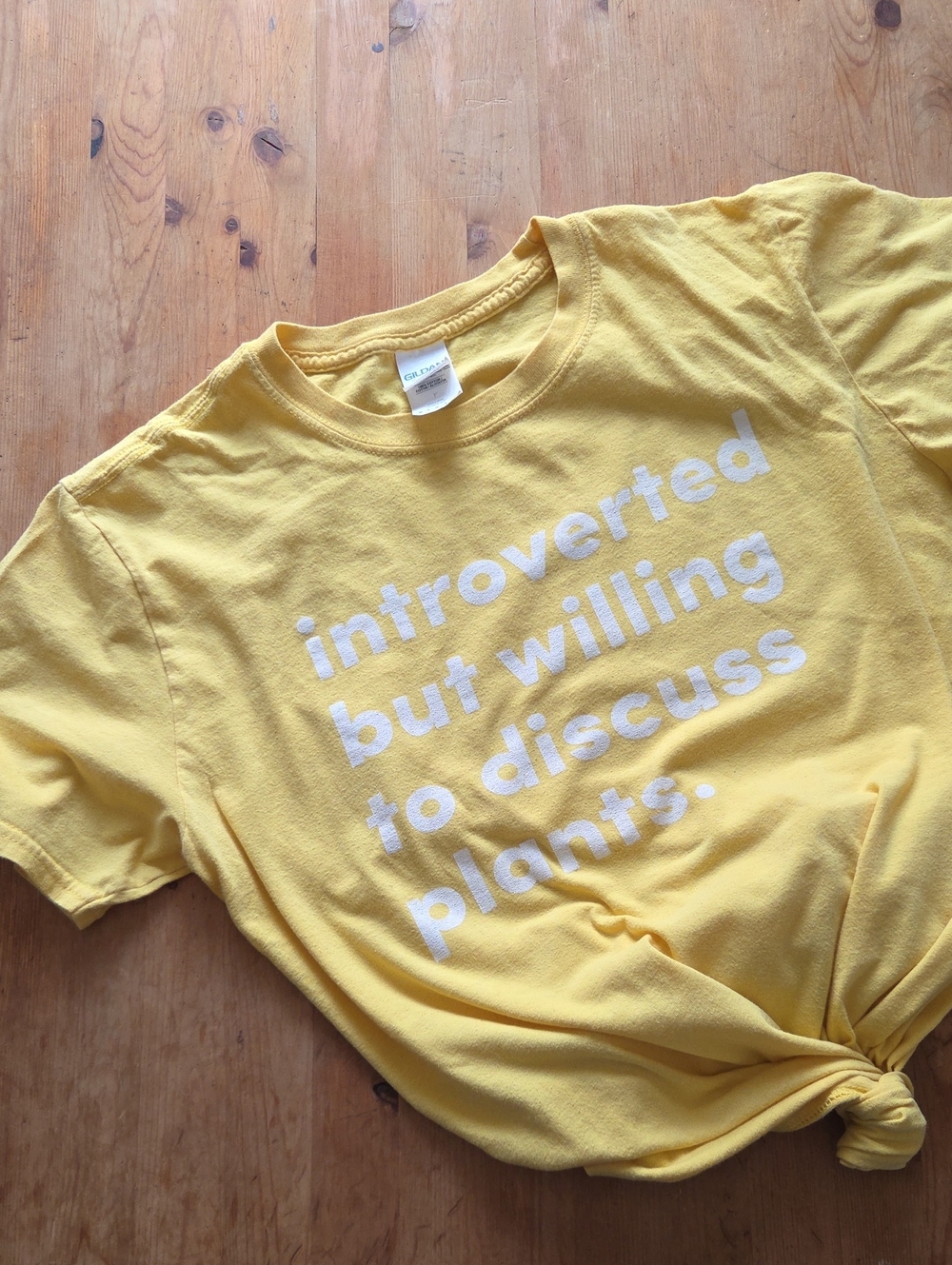Gildan Softstyle Introverted But Willing To Discuss Plants Yellow Graphic Tee M